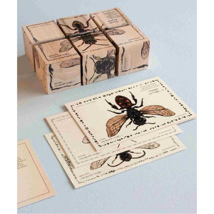 Wooden Blocks Bee Life - Species