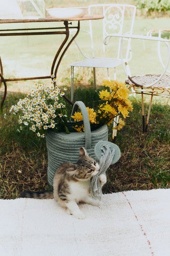 Decorative Basket Watering Can