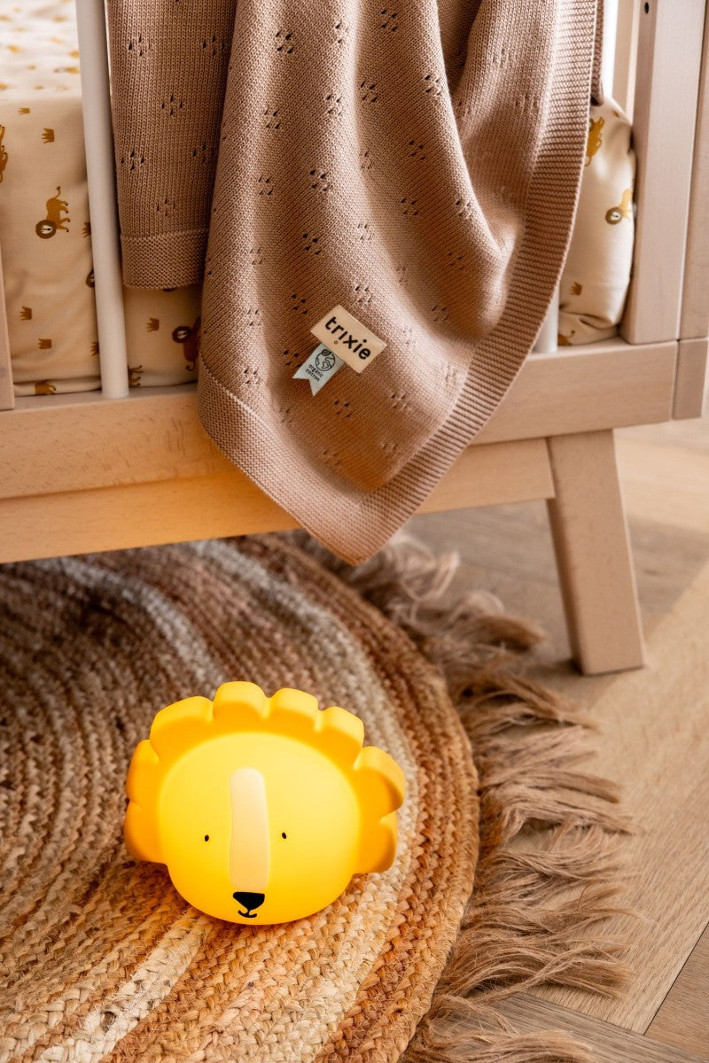 Silicone Night Light - Mr Lion