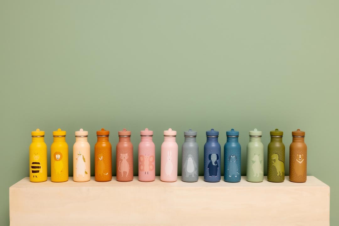 Stainless Steel Bottle 500 ml - Mr. Bear